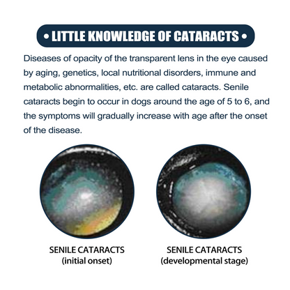 Gentle Pet Eye Drops for Dogs & Cats
