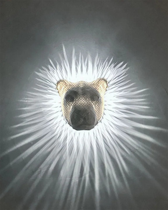 LED Wall Light with 3D Animals - Bald Eagle & Night Owl