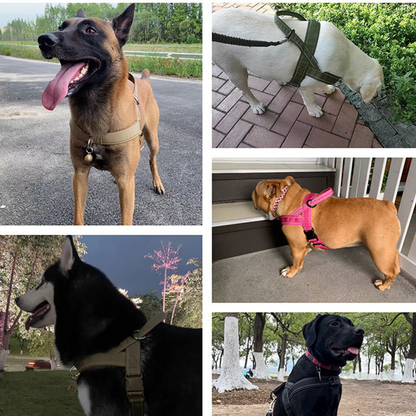 Heavy-Duty Tactical Dog Harness with Handle