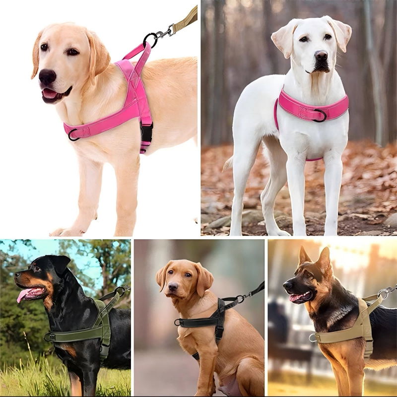 Heavy-Duty Tactical Dog Harness with Handle
