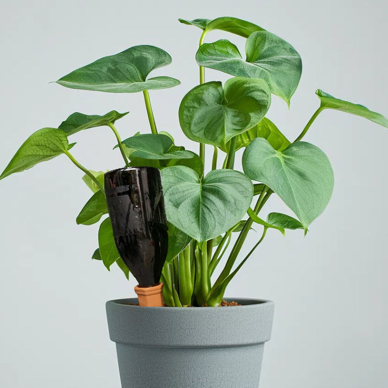 Conical Ceramic Automatic Soaker