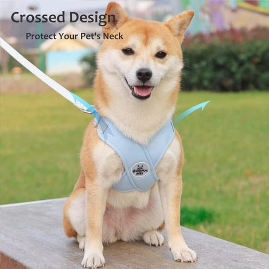 X-frame No-Pull Dog Harness Set with Leash