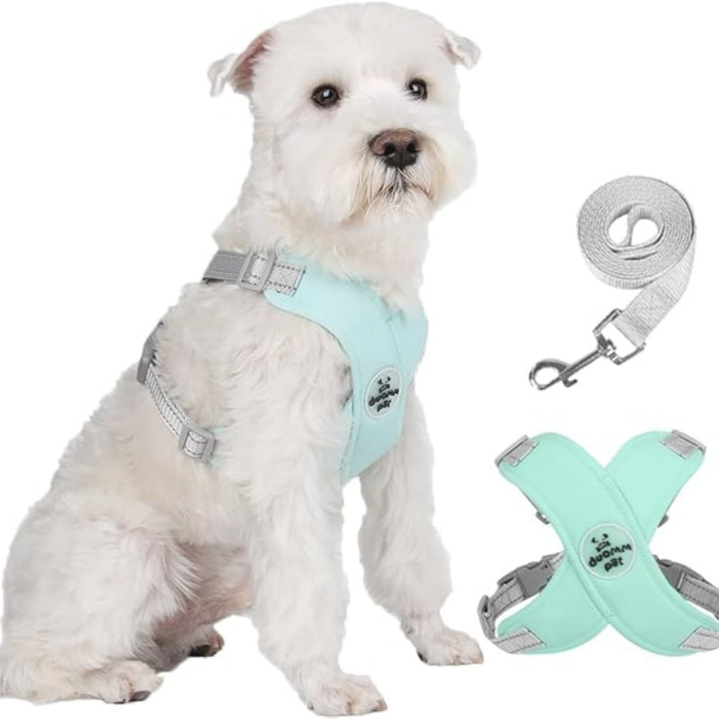 X-frame No-Pull Dog Harness Set with Leash