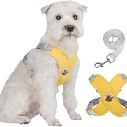 X-frame No-Pull Dog Harness Set with Leash