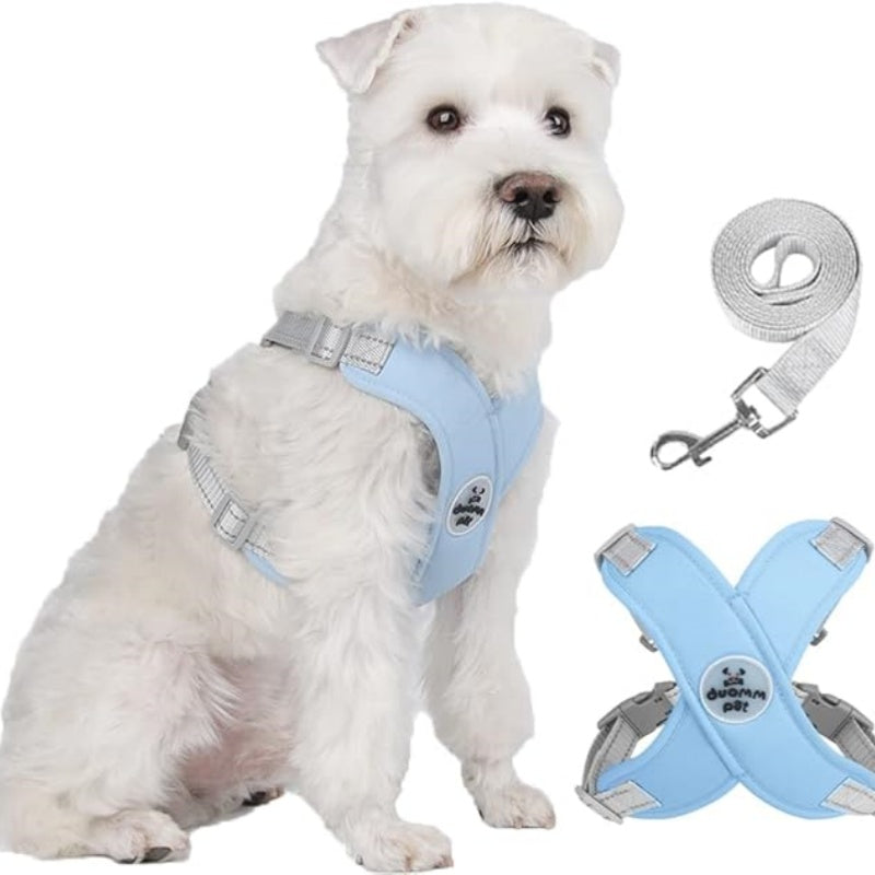 X-frame No-Pull Dog Harness Set with Leash