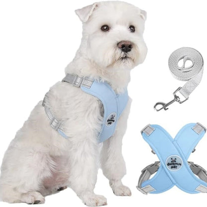 X-frame No-Pull Dog Harness Set with Leash