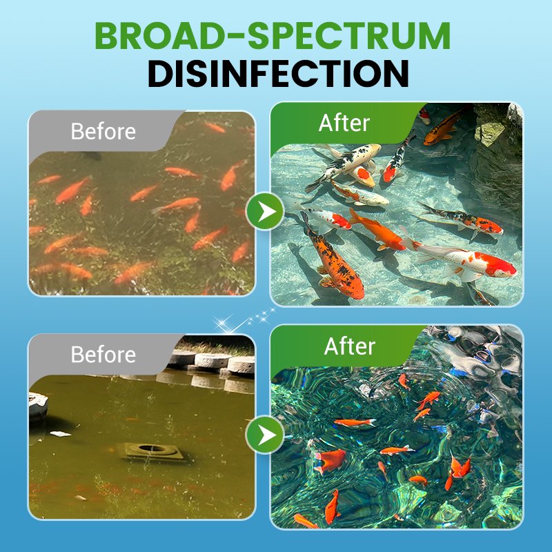 Chlorine Dioxide Effervescent Disinfection Tablets