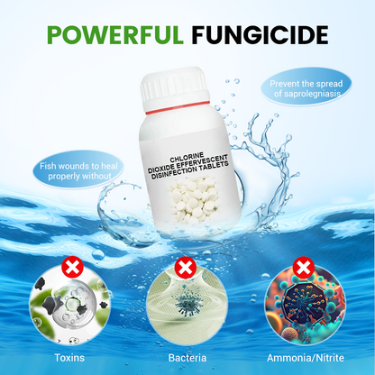 Chlorine Dioxide Effervescent Disinfection Tablets