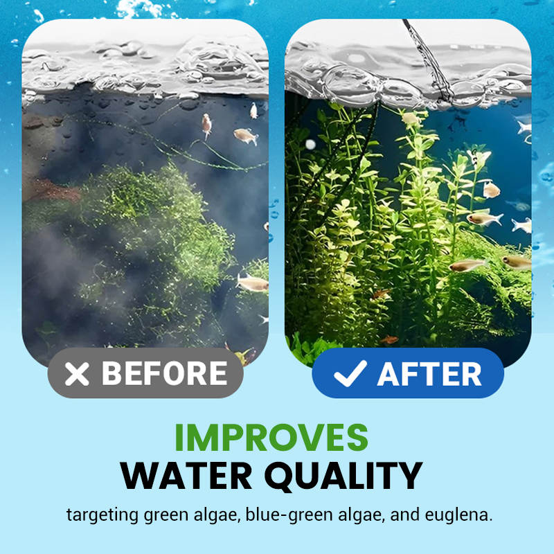 Chlorine Dioxide Effervescent Disinfection Tablets