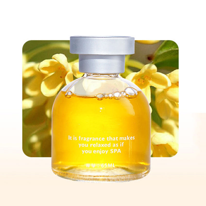🔥50% OFF Long Lasting Car Perfume, Mild Natural Fragrance Auto Air Freshener, Effective Odor Eliminator, Compact Decorative Car Scent for Dashboard