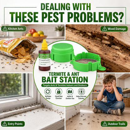 Reusable Outdoor Ant & Termite Bait Station