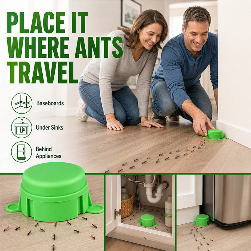Reusable Outdoor Ant & Termite Bait Station
