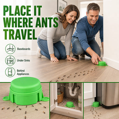 Reusable Outdoor Ant & Termite Bait Station