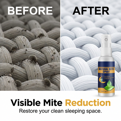 🥳HOT SALE!Natural Plant-Based Mite Removal Spray🌿✨
