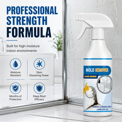 Deep Cleaning Wall Mold Remover Spray 
