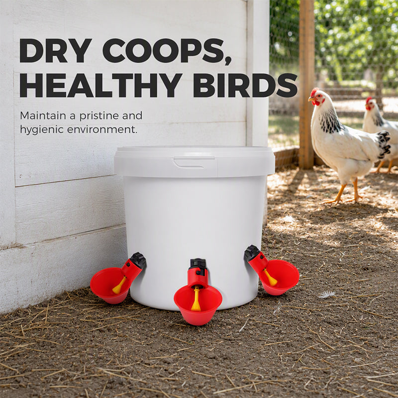 Gravity-Fed Automatic Chicken Waterer Cups