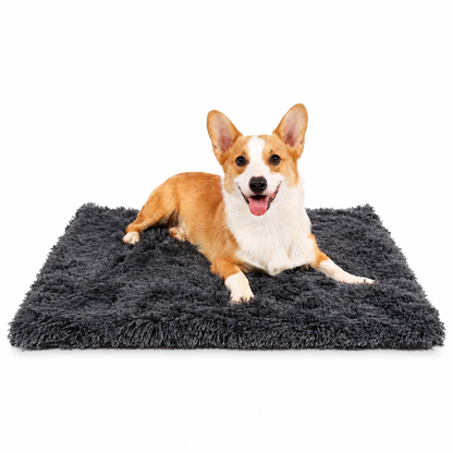 🥳2026 HOT SALE🥳💞50K+ SOLD! 🐾🛏️ 50% OFF! Soft Plush Double Layer Pet Blanket – cloud-soft warmth for dogs & cats, protects furniture & machine washable. Cosy comfort anywhere! 🛡️💚