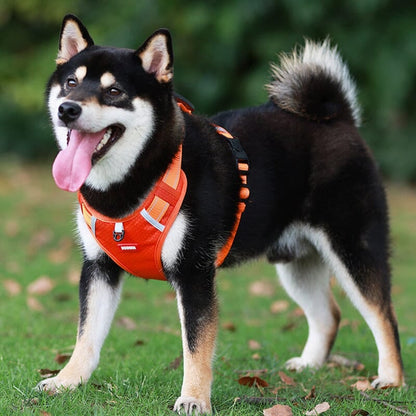 🎁Christmas 49% OFF⏳Reflective Dog Chest Strap