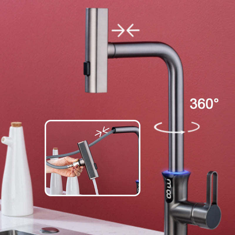 Multifunctional Pull Out Kitchen Sink Faucet with Digital Temperature Display