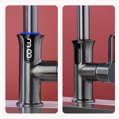 Multifunctional Pull Out Kitchen Sink Faucet with Digital Temperature Display