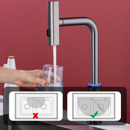 Multifunctional Pull Out Kitchen Sink Faucet with Digital Temperature Display
