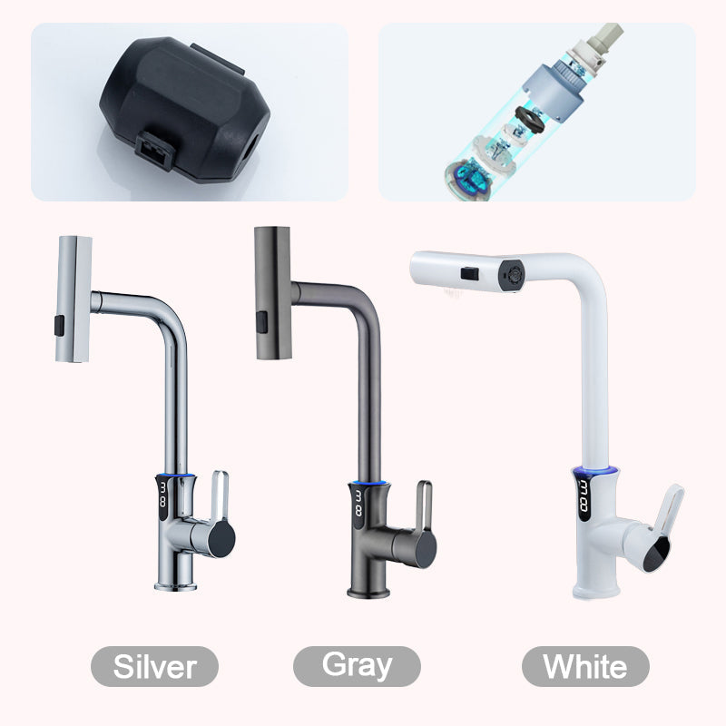 Multifunctional Pull Out Kitchen Sink Faucet with Digital Temperature Display