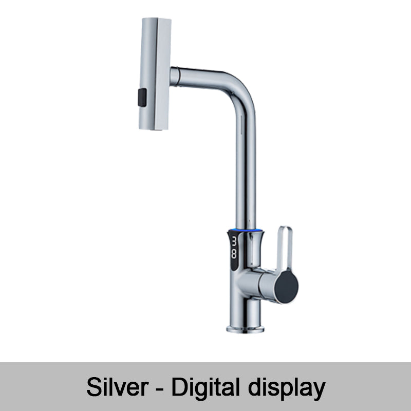 Multifunctional Pull Out Kitchen Sink Faucet with Digital Temperature Display
